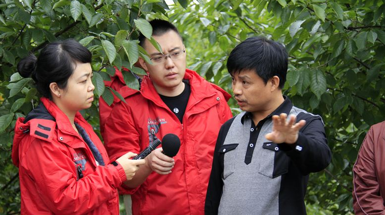 零容忍！上海证监局开执法专题会 这些机构排队受罚 从严从快从重打击违法犯